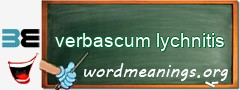 WordMeaning blackboard for verbascum lychnitis